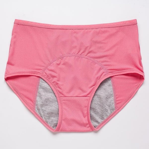 2025 UPGRADE HIGH WAIST LEAK PROOF PANTIES