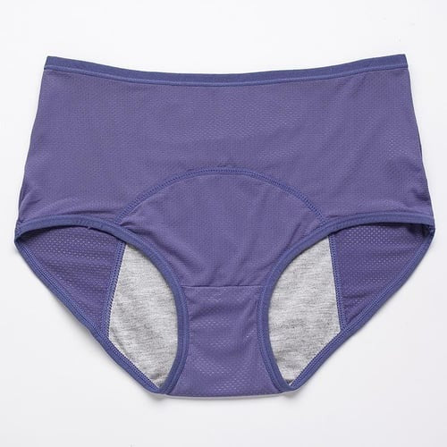 2025 UPGRADE HIGH WAIST LEAK PROOF PANTIES