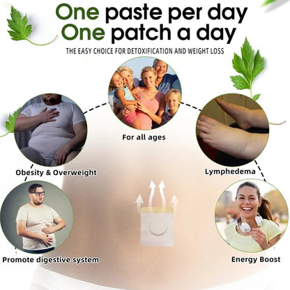 🐝Cvreoz™ Bee Venom Slimming Patch✨ (For all lymphatic problems and obesity)